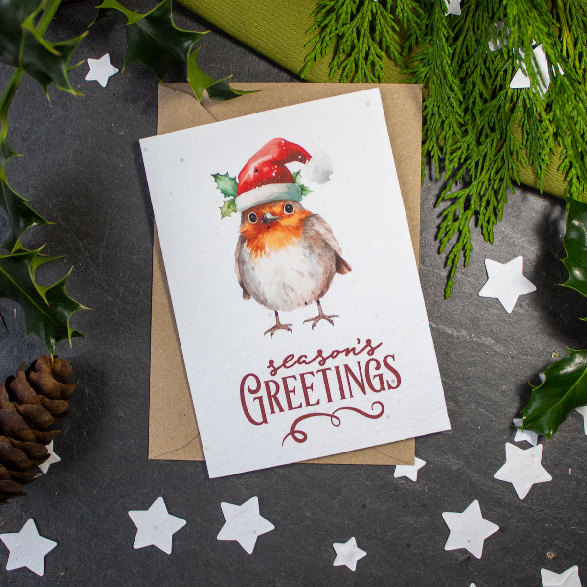 Plantable Christmas Card - Robin in a Christmas Hat